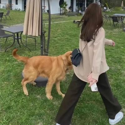 女跳水队员